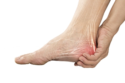 Plantar Heel Pain